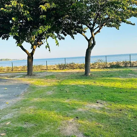 Le Platin - La Redoute * Rivedoux-Plage